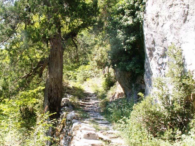 ΣΚΑΛΑ ΒΡΑΔΕΤΟΥ Περιοχή 5 (Π5) Υψόμετρο: 1064-1080 m Συντεταγμένες: 39 o 53.38 /20 o 47.16 έως 39 o 53.37 /20 o 47.