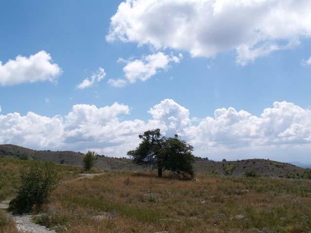 ΜΠΕΛΟΗ Περιοχή Γ (ΠΓ) Υψόμετρο: 1392-1408 m Συντεταγμένες: 39 o 54.13 /20 o 46.10 έως 39 o 54.14 /20 o 46.