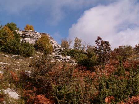 ΜΠΕΛΟΗ Περιοχή Δ (ΠΔ) Υψόμετρο: 1388-1392 m Συντεταγμένες: 39 o 54.14 /20 o 46.20 έως 39 o 54.13 /20 o 46.