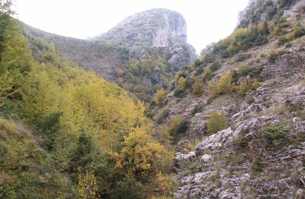Γ.2. Τύποι οικοτόπων αντιπροσωπευτικά φυτά Οι τύποι οικοτόπων του Παραρτήματος Ι της Οδηγίας 92/43/ΕΟΚ χαρακτηρίζονται είτε από τα φυτοκοινωνιολογικά τους γνωρίσματα, δηλαδή αντιστοιχούν σε μονάδες
