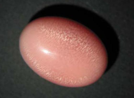 α. β. γ. δ. ε. στ. Σχήμα 1.5. α. Φ υσικό μαργαριτάρι ροζ-κόκκινου χρώματος από το μαλάκιο Strombus gigas.