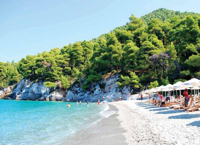 τετράκλινα Προσφορές!