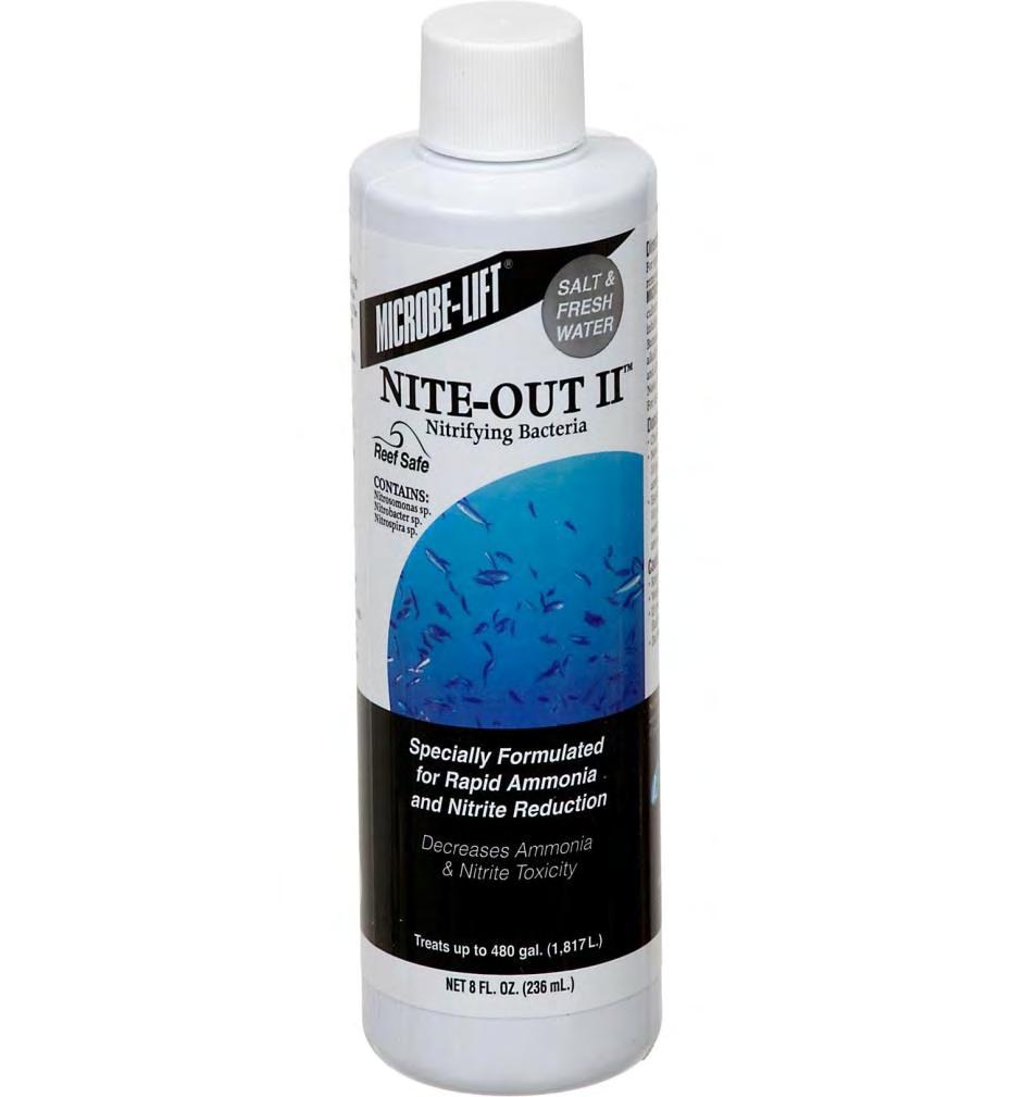 συγγραφέων) Εικόνα 6: Διάλυμα βακτηρίων Niteout