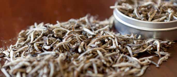 Πράσινο & Μαύρο Τσάι / Green & Black Tea ΘΕΡΜΟΚΡΑΣΙΑ: 100 C ΠΟΣΟΤΗΤΑ: 1 ΚΟΥΤ.