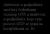 otpuštanje GDP u zamenu sa GTP.