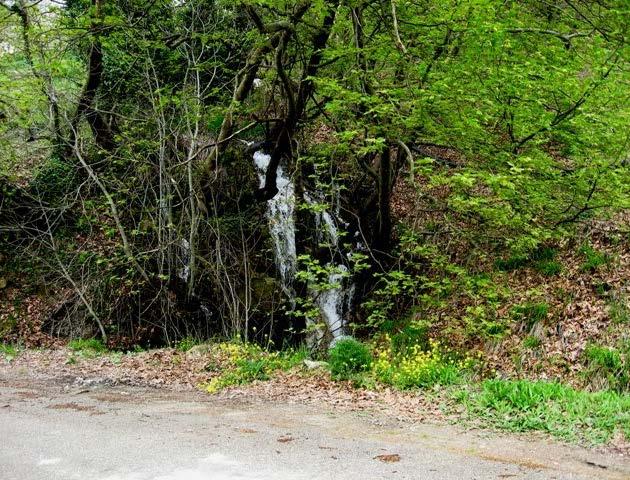 3. ΓΕΩΜΟΡΦΟΛΟΓΙΑ Εικόνα 3.14: Καταρράκτης του Κριού στην τοποθεσία Μοναστήριον (www.panoramio.com) γ) ΘΟΛΟΠΟΤΑΜΟΣ Ο Θολοπόταμος είναι ο μικρότερος ποταμός της περιοχής μελέτης.