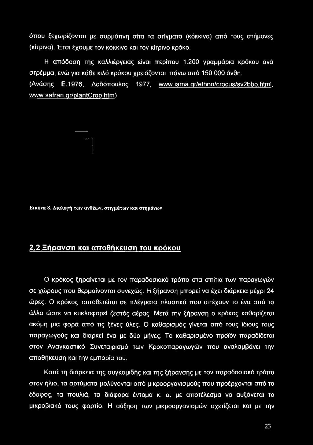 όπου ξεχωρίζονται με συρμάτινη σίτα τα στίγματα (κόκκινα) από τους στήμονες (κίτρινα). Έτσι έχουμε τον κόκκινο και τον κίτρινο κρόκο. Η απόδοση της καλλιέργειας είναι περίπου 1.