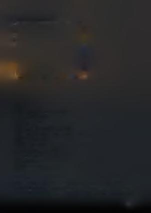 Κοτόπουλο πικάντικο ΥΛΙΚΑ: 1 κοτόπουλο (1,5 κιλό περίπου) 2 σκελίδες σκόρδο 2 μέτρια