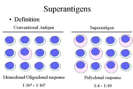 Antigenele care posedă ambele caractere sunt Ag complete.