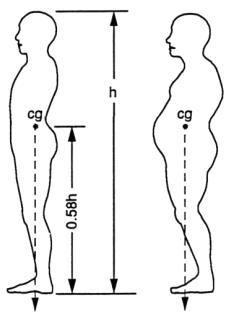 Glavna sila koja djeluje na ljudsko tijelo je gavitacijska sila (G G ili W = težina ina) W = m g Stabilnost tijela u odnosu na