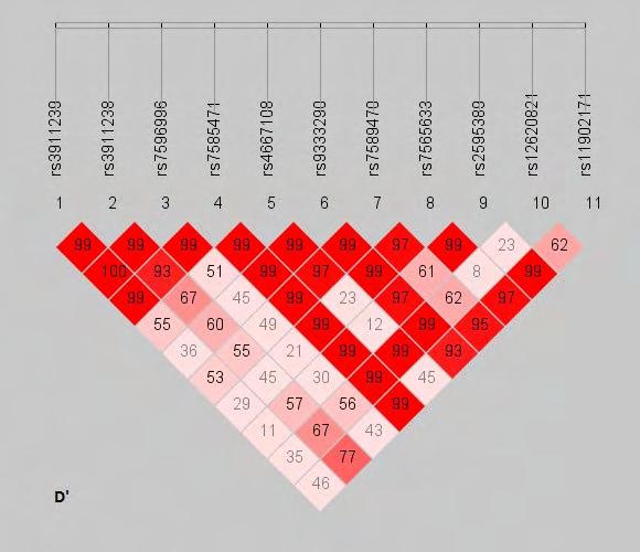 Απεικόνιση της κατανομής της ανισορροπίας σύνδεσης D' (αριστερά) και r 2 (δεξιά) στο δείγμα μας για τους υπό μελέτη