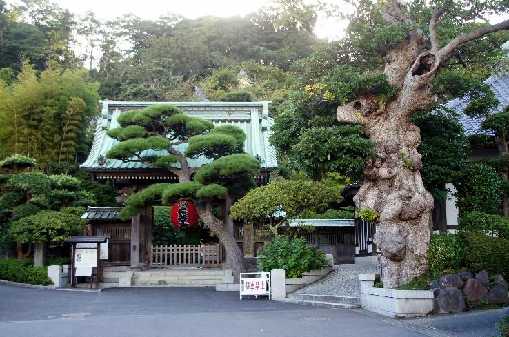 πόλεις της Ιαπωνίας. Η πόλη ιδρύθηκε το 1192 ως οχυρό των Σαμουράι και μέχρι το 1333 υπήρξε πρωτεύουσα της Ιαπωνίας.