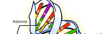 Molecular