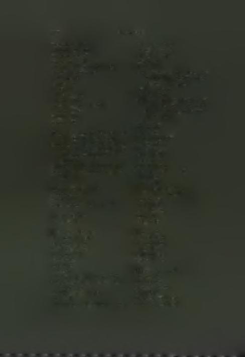 ζαριστής 112, 116, 117, 119, 123, 132, 140, 141, 147, 156, 157, 161,210, 214, ζαρισιήν 136, 201. Vedi ά ζαρισιής. ζιγανεύη, νά 116, ζιγάνεψεν 170. ζυγώνουν 126, ζυγώνουσιν 67, νά ζυ- γώνη 67.
