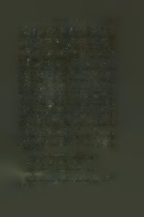 This theory would require a great deal of proof but prima facie it can be shown to be very unlikely; and if the more detailed examination of the poems of Dellaporta, written before 1403, shows, as
