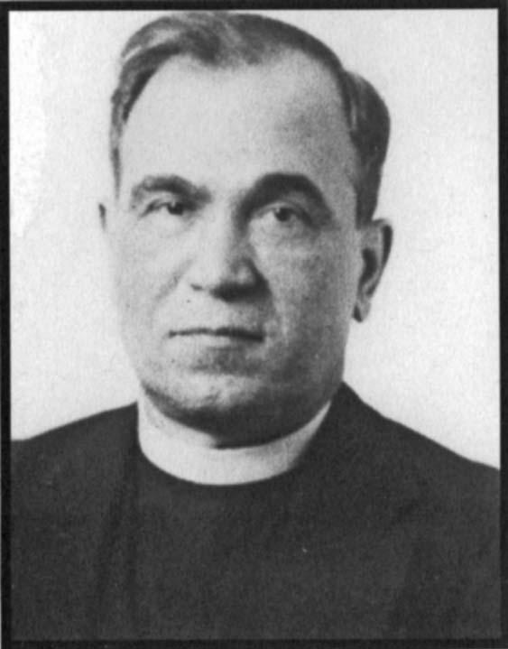 Ο Φαν Νόλι πολιτικός
