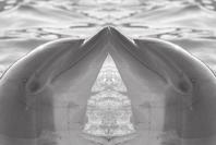 Select the appropriate Digital Effect for the type of picture that you wish to record and the effect you wish to create. There are 10 Digital Effect modes. 1. <Art> mode This mode gives the images a coarse effect.