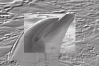 <Emboss2> mode This mode creates a 3D effect (embossing) on the surrounding area of an image. 9. <Pastel1> mode This mode applies a pale pastel drawing effect to an image. 10.