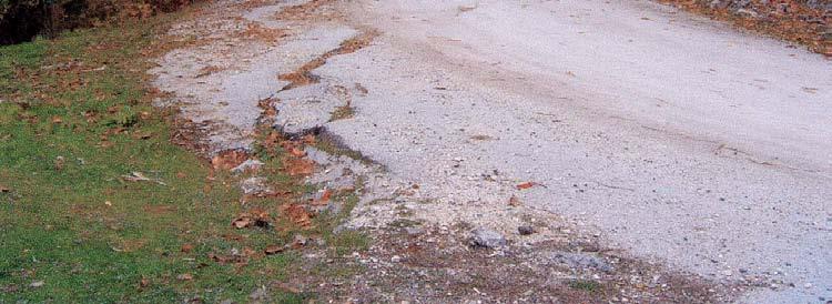 Επίσης, από τα δασοτεχνικά φράγµατα, αυτό στο ύψος της κεντρικής πλατείας καταστράφηκε, καθώς και το οδόστρωµα του κεντρικού δρόµου. Πρόκειται για παλιά κατολίσθηση, η οποία επαναδραστηριοποιήθηκε.
