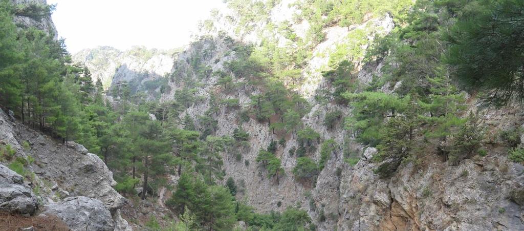όσα κι αν δει στη ζήση του δεν θα το
