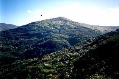 μεγαλύτερα υψόμετρα, και κυρίως στα βόρεια, αυτό που συναντά κανείς κυρίως είναι δάση οξιάς και ελάτης.