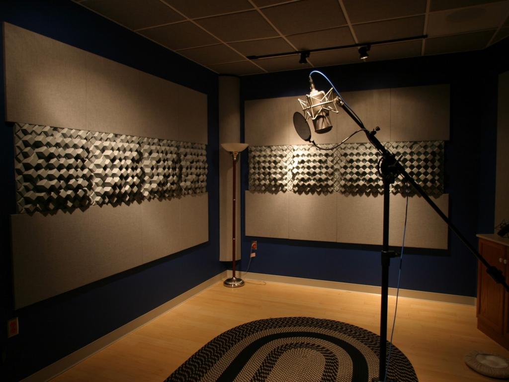 Χώρος ηχοληψίας (studio) Ο χώρος ηχοληψίας είναι ένας χώρος με προσεκτικά μελετημένη ακουστική,τέτοια ώστε οι διάφοροι ήχοι που παράγονται από μουσικά όργανα μέσα σε αυτόν μπορούν να
