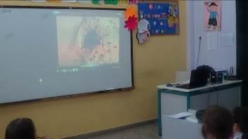 στα παιδιά η δυνατότητα να σκιαγραφήσουν διαφορετικές συμπεριφορές, να αποτυπώσουν διαφορετικά συναισθήματα και να αντιληφθούν την έννοια της διαφορετικής οπτικής γωνίας και της υποκειμενικότητας.