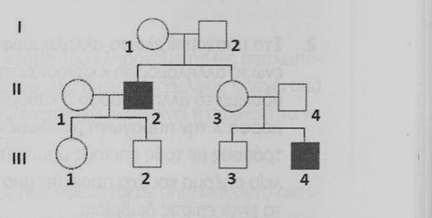 2 η περίπτωση : Το γονίδιο είναι αυτοσωμικό. Ο γονότυπος κάθε μητέρας προκύπτει από τη διασταύρωση ΑΑ(ήΑα) Χ αα και είναι Αα. Τα αγόρια προκύπτουν από τη διασταύρωση Αα Χ Αα και έχουν γονότυπο αα.