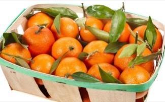 Λικζρ από Βφςςινα 1 κιλό βφςςινα χωρίσ κοτςάνια αλλά με τα κουκοφτςια τουσ 1 κιλό ηάχαρθ 10 γαρφφαλα 2 ξφλα κανζλασ 1 κιλό κονιάκ 5 αςτζρων (μεταξά) Αποςτειρϊνουμε τα βάηα ( λίγο ςτον φοφρνο)