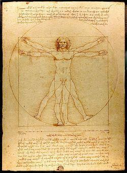 Σύμφωνα με τις σημειώσεις του ντα Βίντσι στο συνοδευτικό κείμενο, οι οποίες είναι γραμμένες με καθρεπτιζόμενη γραφή, το σχέδιο έγινε ως μελέτη των αναλογιών του (ανδρικού) ανθρώπινου σώματος όπως