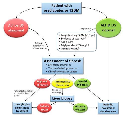Αλγόριθμος για τη διάγνωση της NAFLD και NASH σε ασθενείς με διαβήτη ή
