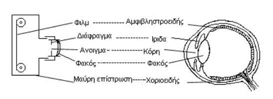 μείωσης της ικανότητας του για προσαρμογή.