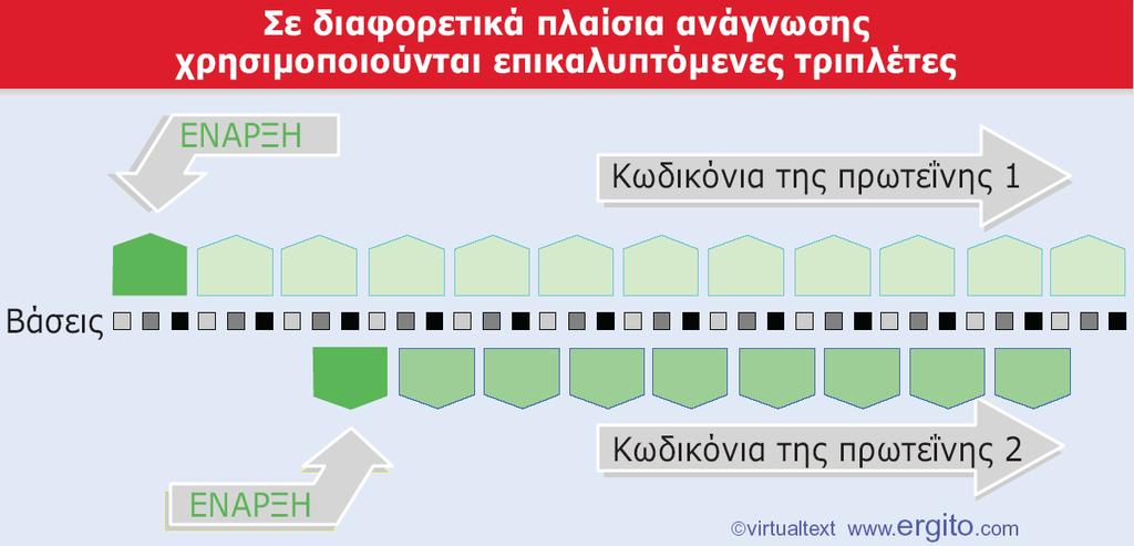 φνκετθ Μεταγραφικι Μονάδα (8/9) Διαφορετικά αναγνωςτικά πλαίςια Εικόνα 12: