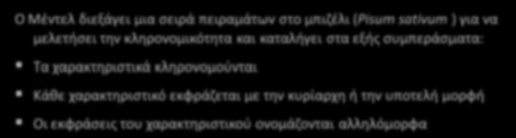 Γενετικι αντίλθψθ του γονιδίου Αρχικι αντίλθψθ γονιδίου Χαρακτθριςτικά ςπόρου: Χρϊμα (κίτρινο