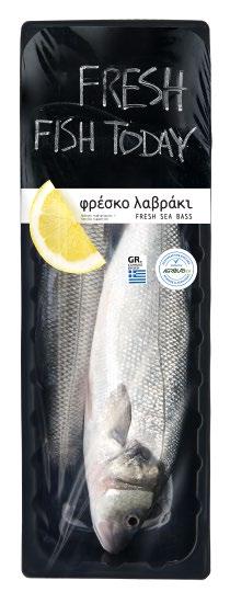 Καμία ευθύνη για τυπογραφικά λάθη ή παραλείψεις.
