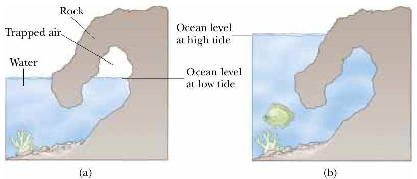 12. Obala mora je kamenita i izgleda kao na slikama, tvoreći podvodnu špilju u stijeni u kojoj je zarobljen zrak.