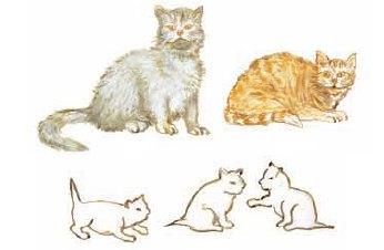 19 Μια οικογένεια γάτων γάτος γάτα γατάκια Χρωματίζουμε τα