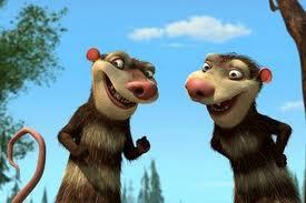 marsupial