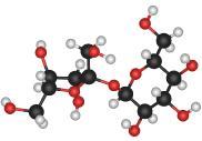 kemična sestava: ogljikovi hidrati organske spojine (CH 2 O) n monosaharidi oligosaharidi polisaharidi saharoza najbolj