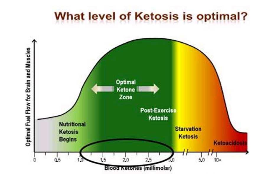 Συγκέντρωση κετονοσωμάτων στο αίμα