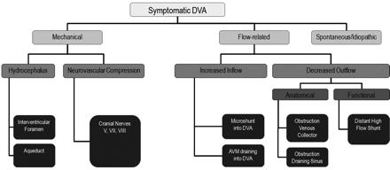 REF:Stroke.2008; 39: 3201-3215, Pathomechanisms of Symptomatic Developmental Venous Anomalies). Α)ΜΗΧΑΝΙΚΟΣ.