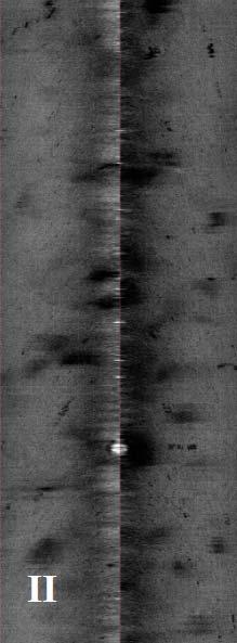 3 και 4). 4.2.