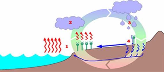 الباب الخامس : الجريان السطحي Surface Runoff 1-5 الجريان السطحي ھو فائض المطر الذي يتدفق بسرعة إلى المجاري المائية ويسبب الفيضانات.