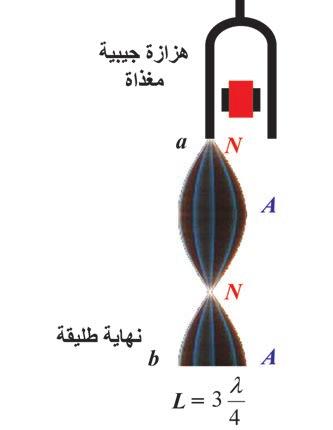 عندما تعمل الهز ازة تتول د أمواج مستقر ة في حالة التجاوب على طول الوتر مكو نة عقدة اهتزاز في النقطة a وبطن اهتزاز في النقطة b كما في الشكل: - عندما يصدر الخيط صوته األساسي تواتره: - عندما يصدر الخيط