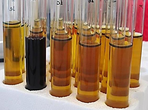 Όςον αφορϊ ςτην Listeria monocytogenes, για τον πρώτο εμπλουτιςμϐ 1 ml δεύγματοσ μεταφϋρθηκε ςε 9 ml Half Fraser broth με προςθόκη του ςυμπληρώματοσ SR0166E (OXOID) και επωϊςτηκε ςτουσ 30 o C για 24
