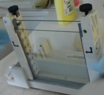 1 υςκευό Ηλεκτροφϐρηςησ Σο «χτύςιμο» του gel περιελϊμβανε την ϋνωςη δϑο ειδικών γυϊλινων επιφανειών με την παρεμβολό των spacer ςτισ δϑο ϊκρεσ και την τοποθϋτηςό τουσ