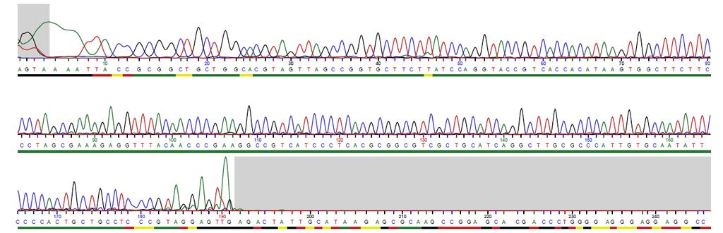 4.4.1 Καθαριςμϐσ (Purifying) DNA Για τον καθαριςμϐ των δύκλωνων μορύων του DNA, που προϋκυψαν απϐ την PCR, χρηςιμοποιόθηκε το PCRExtract Mini Kit (5 PRIME).