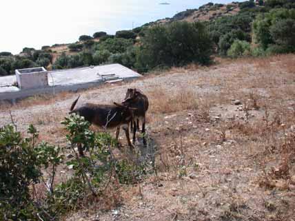 Μάζα η οποία χάνεται µετά από 1 έτος (mg/cm 2 *έτος) Μάζα η οποία χάνεται µετά από 4 έτη (mg/cm 2 *έτος) ιάβρωση που παρατηρείται µετά από 4 έτη (µm/έτος) Μη στιλβωµένο κράµα χαλκού 0,3-1,5 0,2-1,6