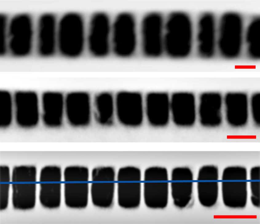 Slika 9: Nanoºi ke, narejene z dvoºarkovno fotolitograjo, kjer je bila intenziteta osnovnega ºarka konstantna, intenziteta zaviralnega ºarka pa je a) 0, 69µW cm 2, b) 1, 62µW cm 2 in c) 2, 42µW cm 2.