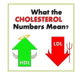 الكوليسترول مادة دهنية غير ذو ابة في الماء. آلية نقله و HDL و VLDL لذلك ينتقل في الدوران محموال على البروتينات الشحمية LDL والدقائق الكيلوسية.